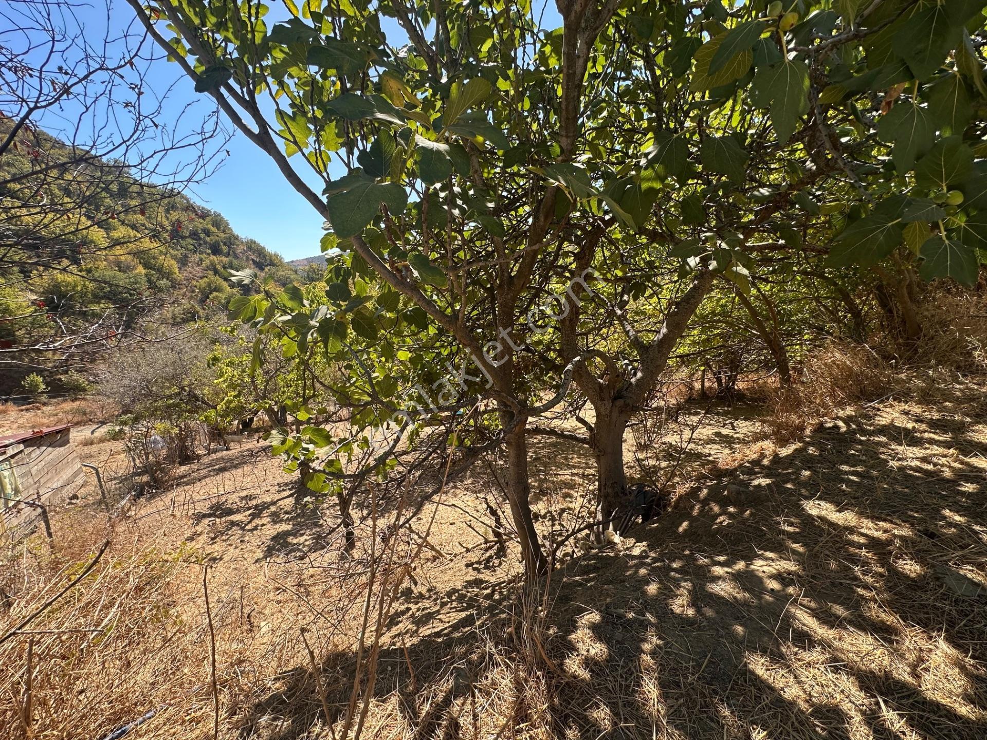 Uçmakdere Eşsiz Doğasında 788 M2 Motele Komşu Satılık Arazi — fotoğraf 7