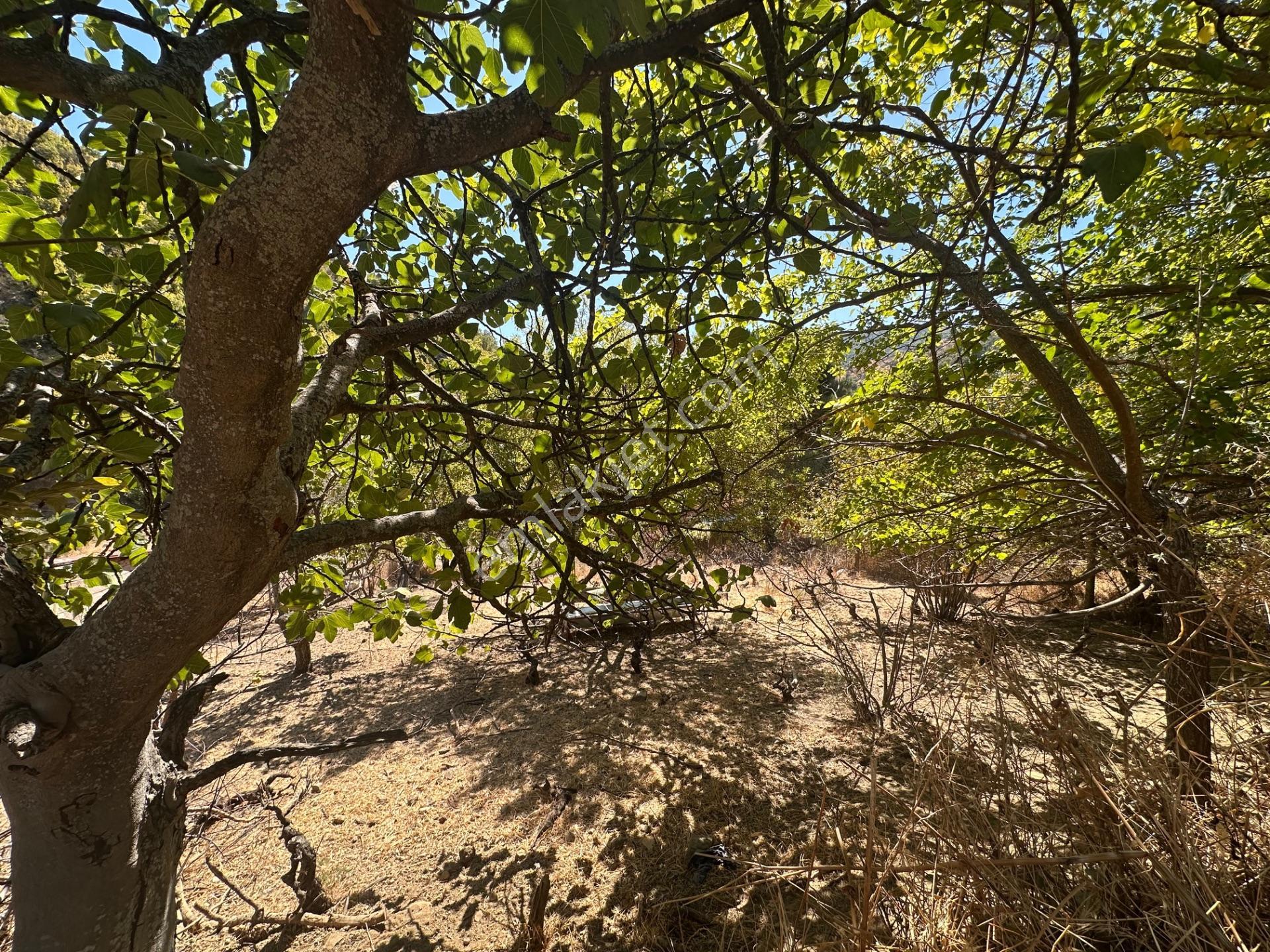 Uçmakdere Eşsiz Doğasında 788 M2 Motele Komşu Satılık Arazi — fotoğraf 9