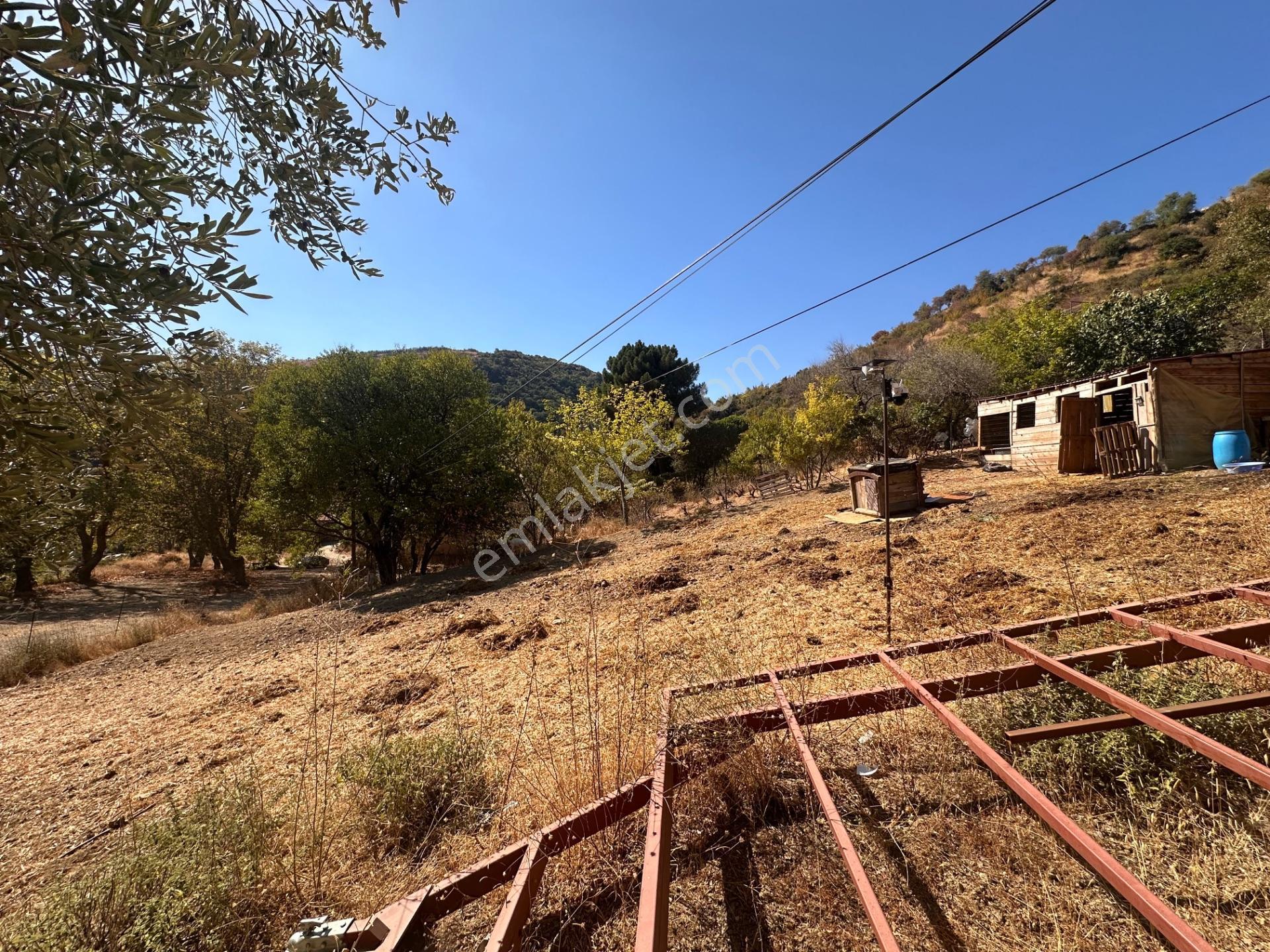 Uçmakdere Eşsiz Doğasında 788 M2 Motele Komşu Satılık Arazi — fotoğraf 11