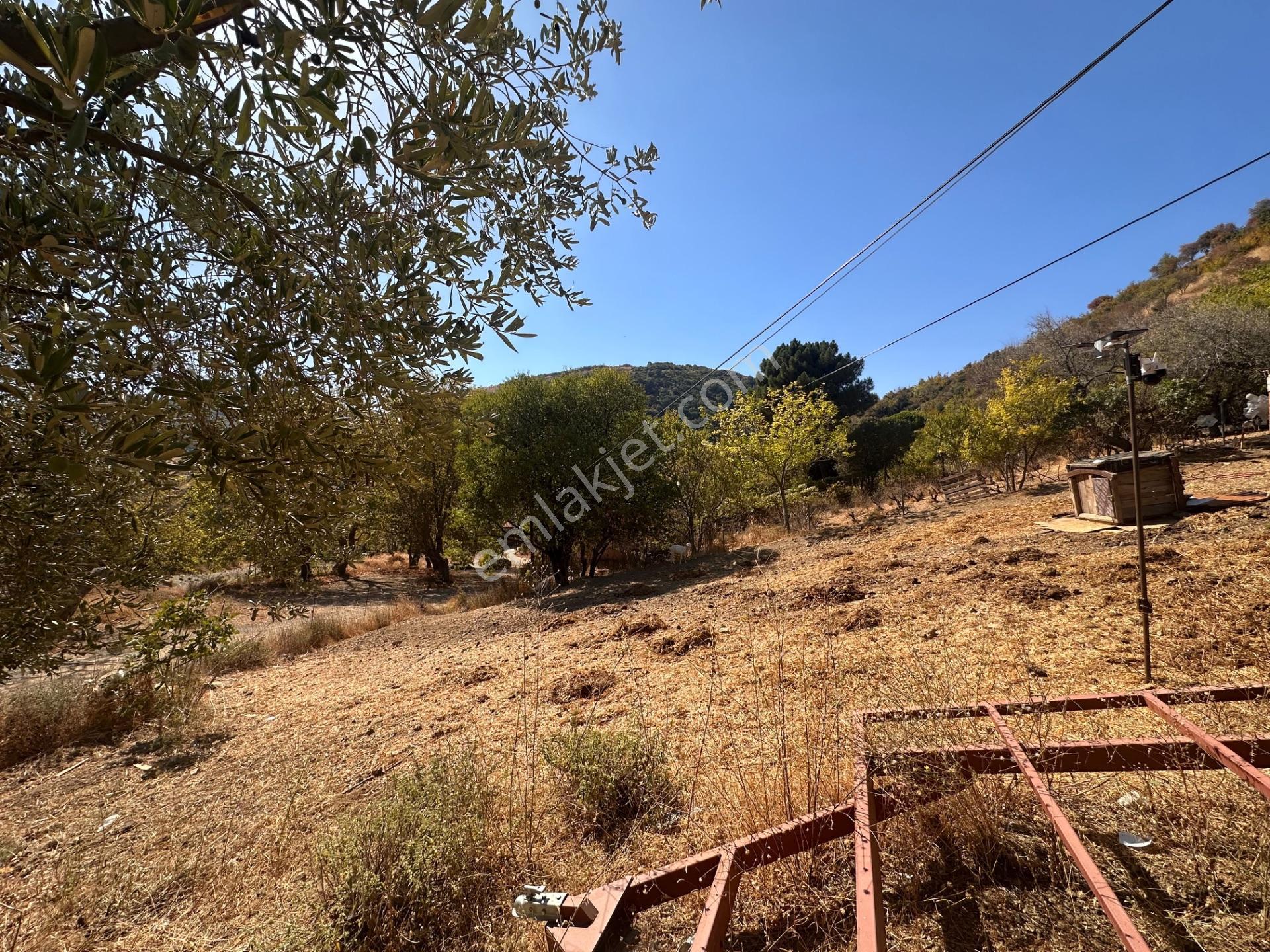 Uçmakdere Eşsiz Doğasında 788 M2 Motele Komşu Satılık Arazi — fotoğraf 12
