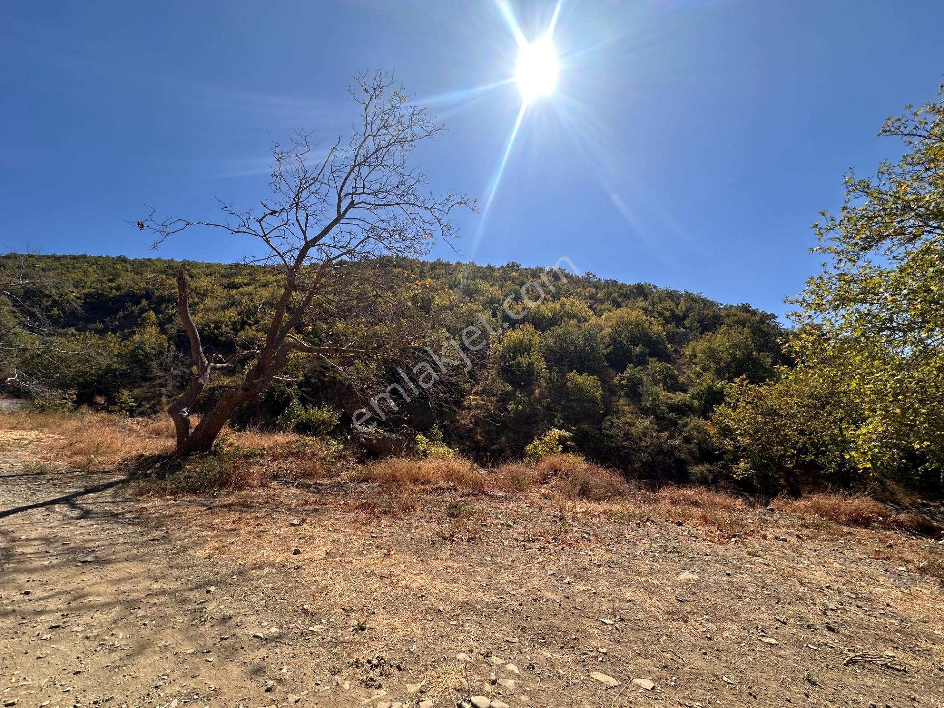 Uçmakdere Eşsiz Doğasında 788 M2 Motele Komşu Satılık Arazi — fotoğraf 14
