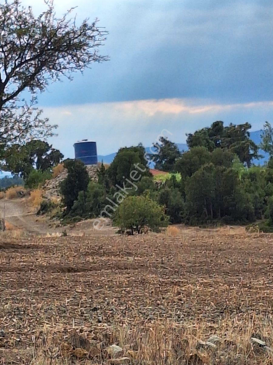 Denizli Tavas Yahşilerde Mahalleye 200m Mesafede — fotoğraf 5