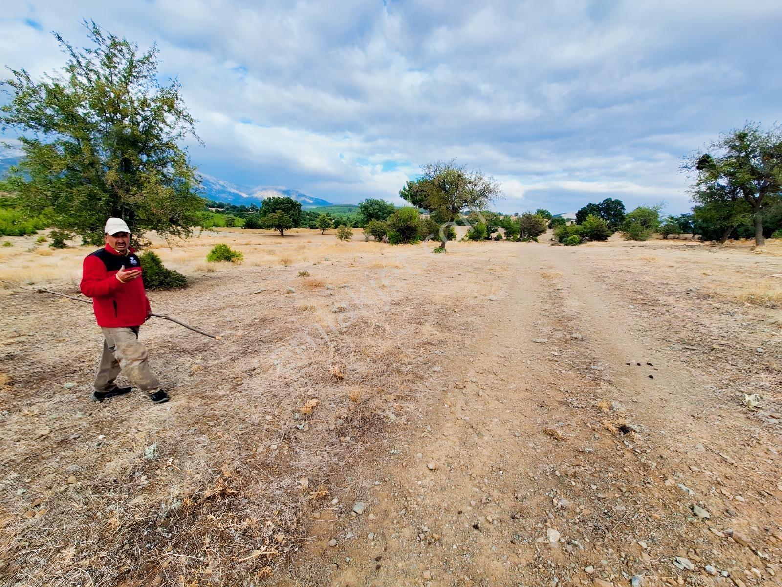 Denizli Tavas Yahşilerde Mahalleye 200m Mesafede — fotoğraf 8