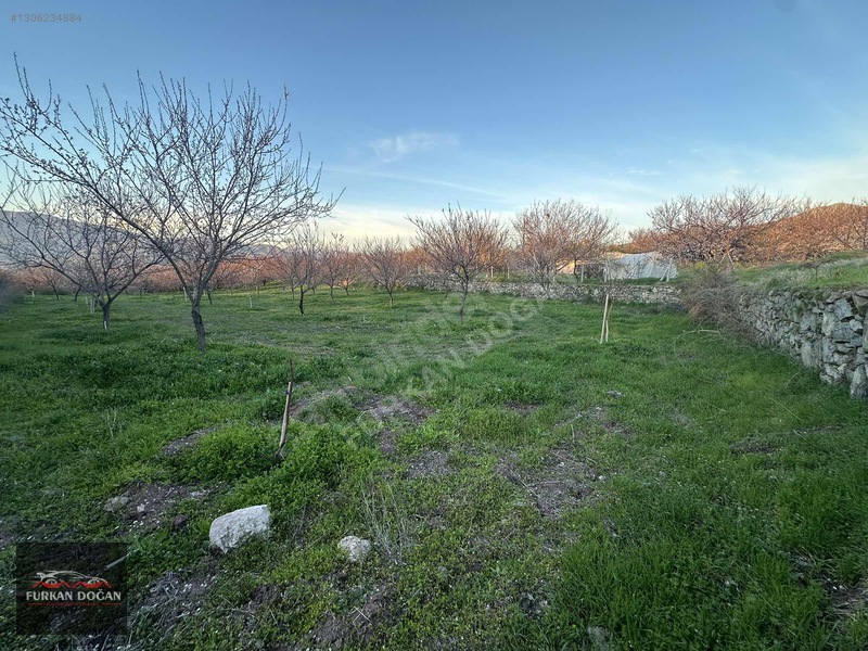 Furkan Doğandan Kale Bağlıcada 3300 M2 Acil Satılık Bahçe