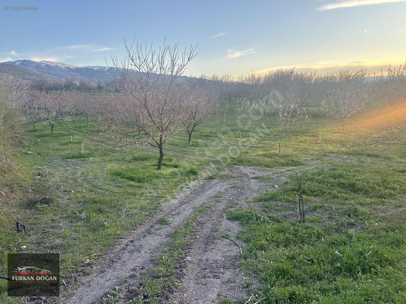 Furkan Doğandan Kale Bağlıcada 3300 M2 Acil Satılık Bahçe — fotoğraf 3