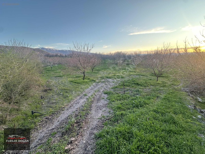Furkan Doğandan Kale Bağlıcada 3300 M2 Acil Satılık Bahçe — fotoğraf 4