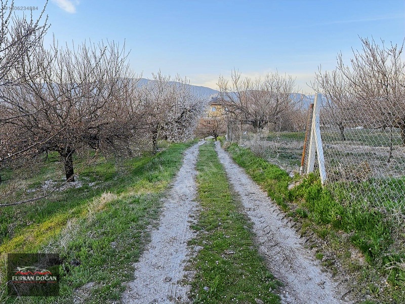 Furkan Doğandan Kale Bağlıcada 3300 M2 Acil Satılık Bahçe — fotoğraf 5