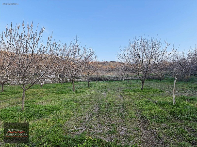 Furkan Doğandan Kale Bağlıcada 3300 M2 Acil Satılık Bahçe — fotoğraf 6