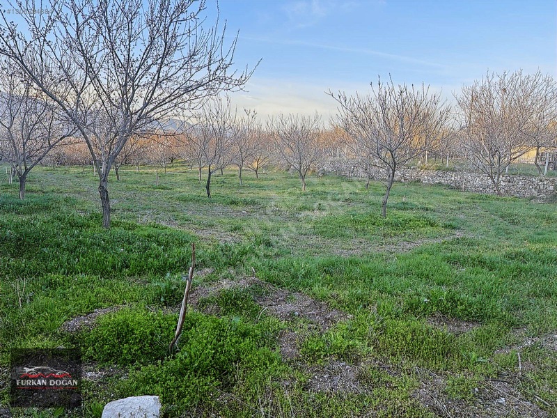 Furkan Doğandan Kale Bağlıcada 3300 M2 Acil Satılık Bahçe — fotoğraf 7