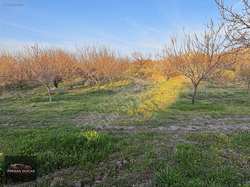 Furkan Doğandan Kale Bağlıcada 3300 M2 Acil Satılık Bahçe — fotoğraf 9