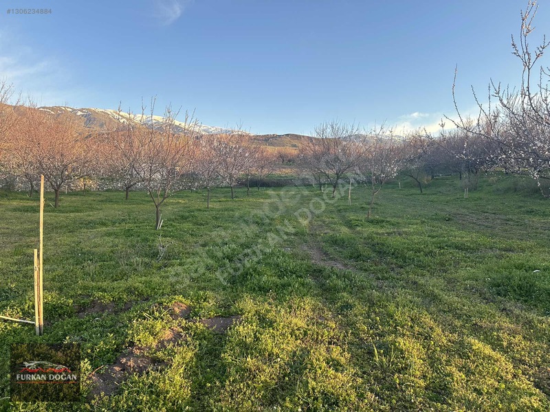 Furkan Doğandan Kale Bağlıcada 3300 M2 Acil Satılık Bahçe — fotoğraf 10
