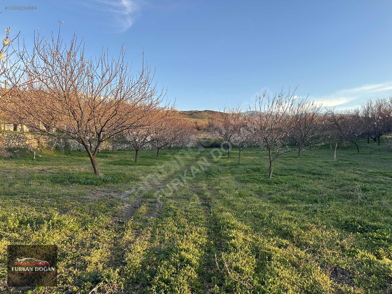 Furkan Doğandan Kale Bağlıcada 3300 M2 Acil Satılık Bahçe — fotoğraf 11