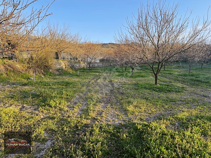 Furkan Doğandan Kale Bağlıcada 3300 M2 Acil Satılık Bahçe — fotoğraf 12