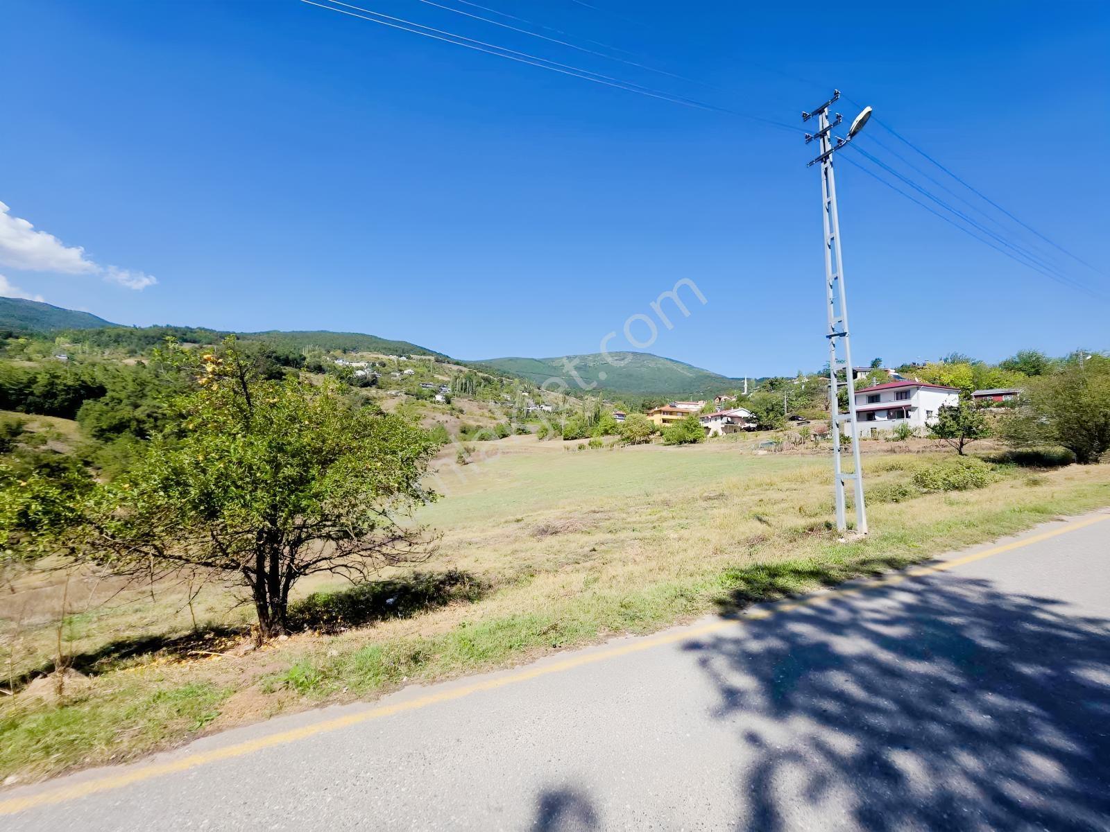 Sakarya Geyve Melekşesolak Mahallesinde 3.909 M² İmarlı Arazi — fotoğraf 2