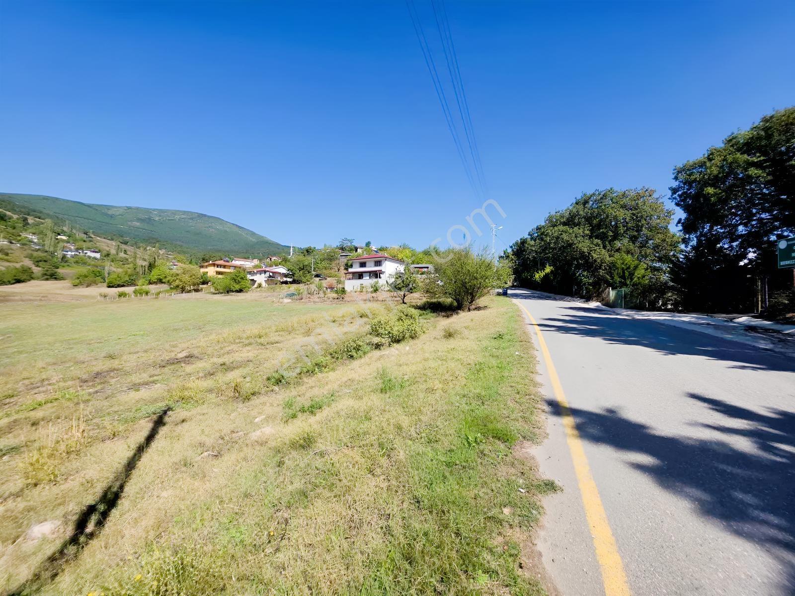 Sakarya Geyve Melekşesolak Mahallesinde 3.909 M² İmarlı Arazi — fotoğraf 3