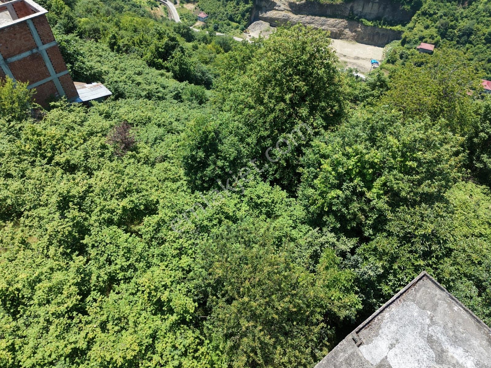 Sahil Yoluna 1 Km Deniz Ve Doğa Manzaralı Fırsat Arazi — fotoğraf 6