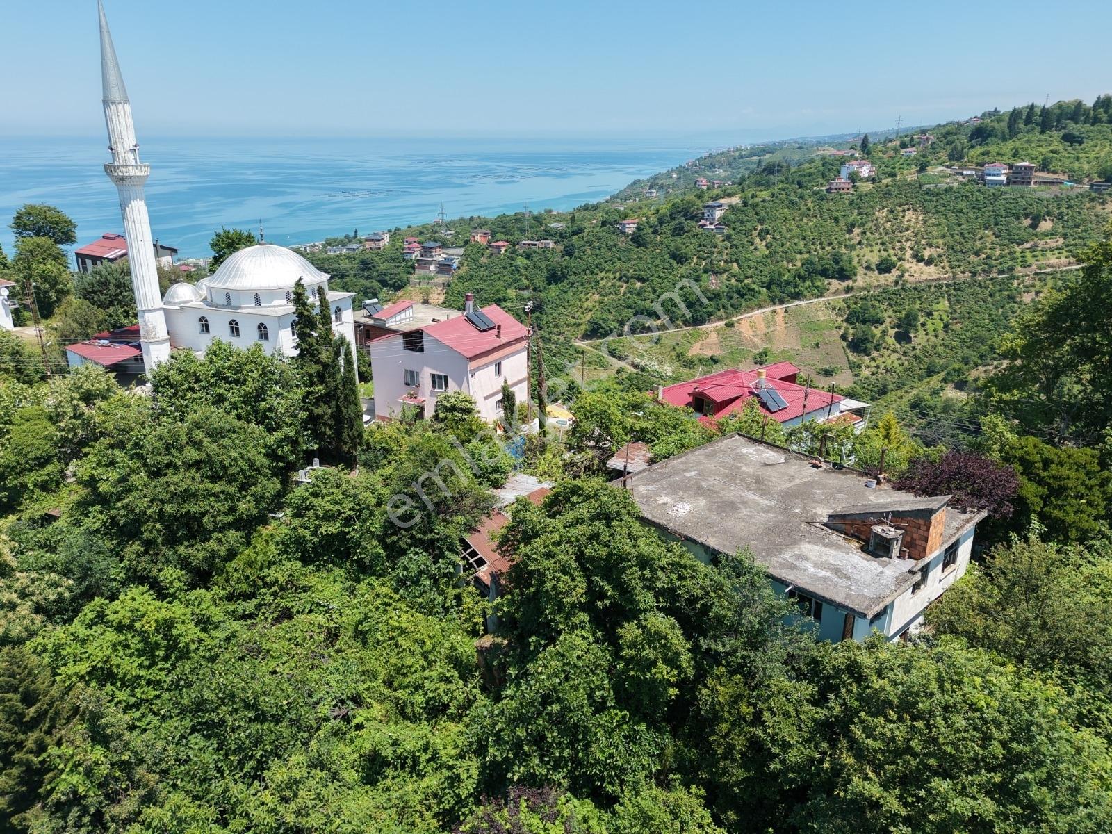 Sahil Yoluna 1 Km Deniz Ve Doğa Manzaralı Fırsat Arazi — fotoğraf 7