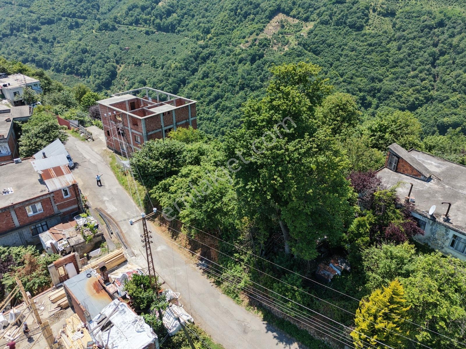 Sahil Yoluna 1 Km Deniz Ve Doğa Manzaralı Fırsat Arazi — fotoğraf 8