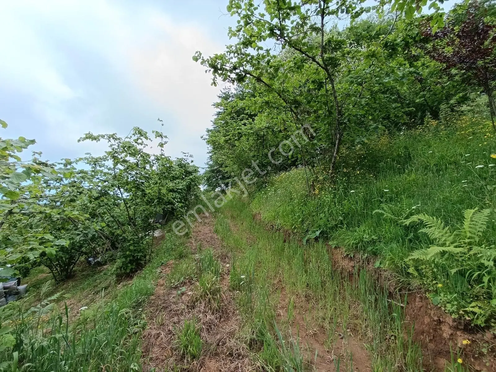 Kavala Mahallesinde Satılık 3.550 M² Villalık Arsa — fotoğraf 5