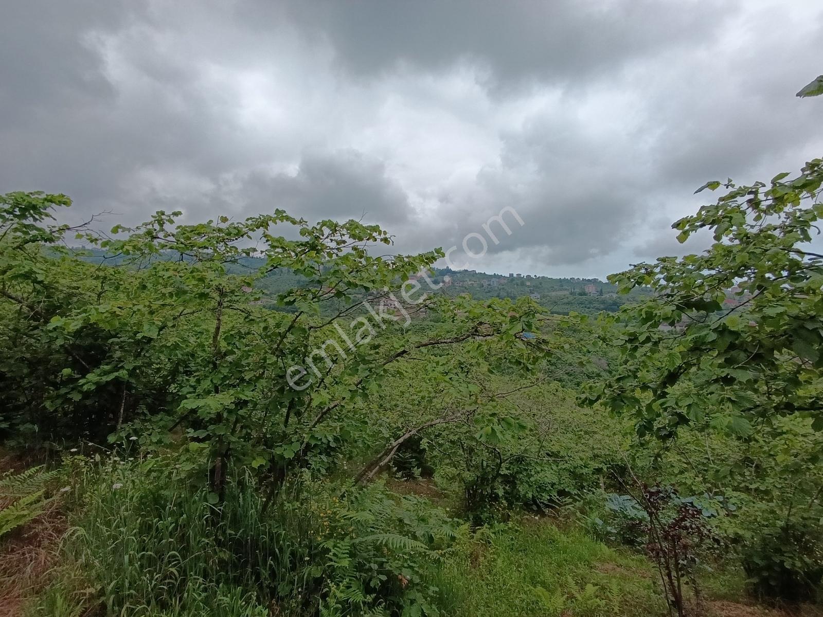 Kavala Mahallesinde Satılık 3.550 M² Villalık Arsa — fotoğraf 7