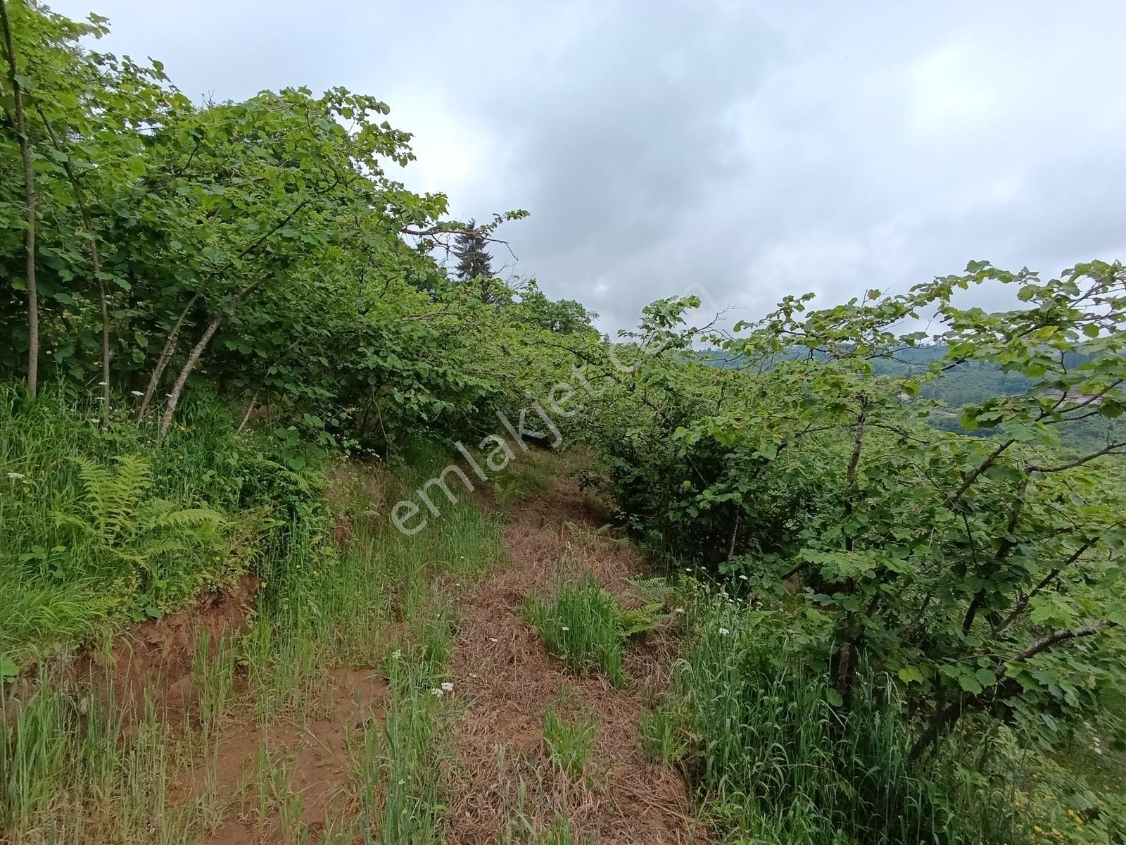 Kavala Mahallesinde Satılık 3.550 M² Villalık Arsa — fotoğraf 8