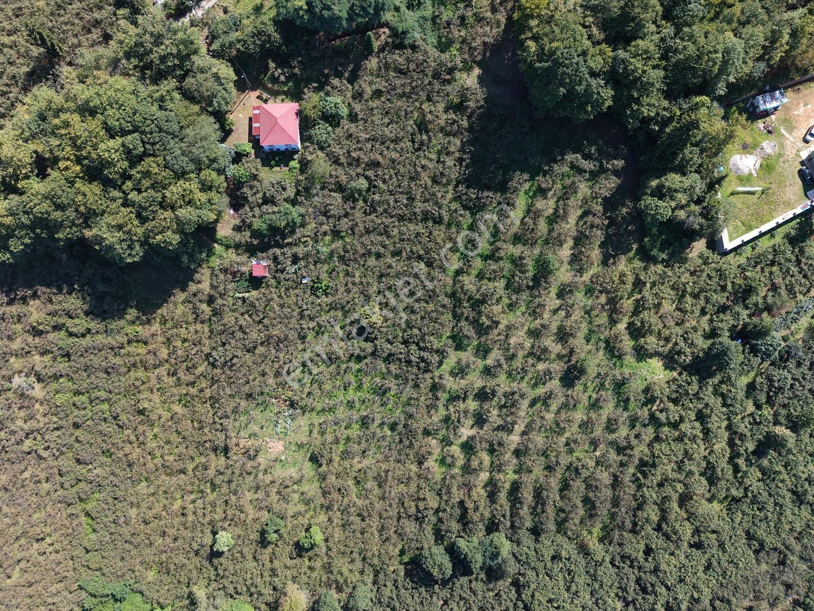 Kavala Mahallesinde Satılık 3.550 M² Villalık Arsa — fotoğraf 9