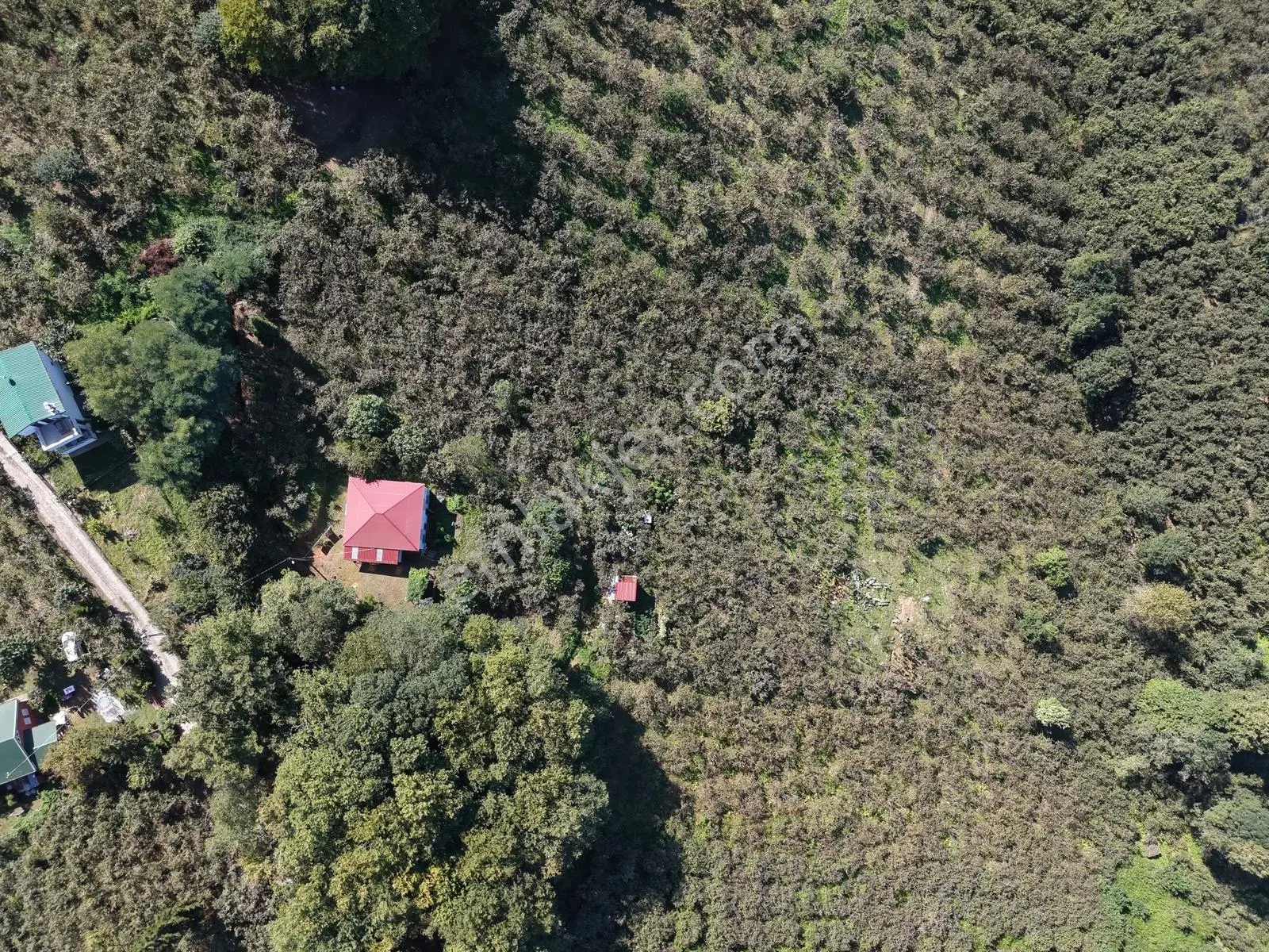 Kavala Mahallesinde Satılık 3.550 M² Villalık Arsa — fotoğraf 10