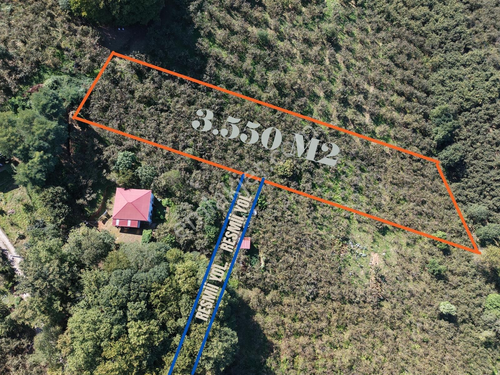 Kavala Mahallesinde Satılık 3.550 M² Villalık Arsa — fotoğraf 11