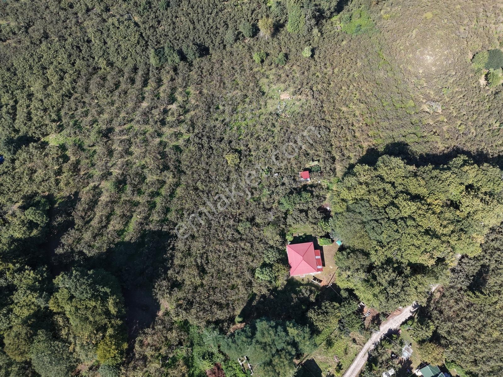 Kavala Mahallesinde Satılık 3.550 M² Villalık Arsa — fotoğraf 12