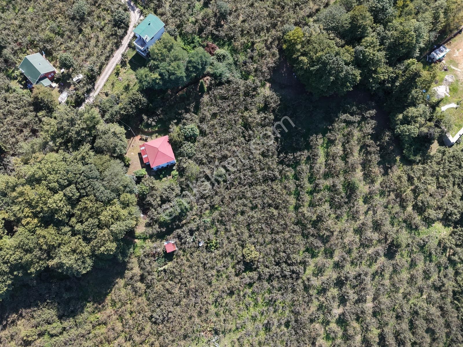 Kavala Mahallesinde Satılık 3.550 M² Villalık Arsa — fotoğraf 13
