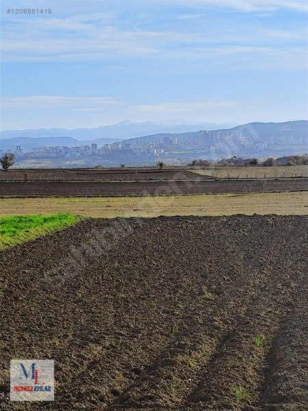 Kastamonu Merkez Arız Köyünde Satılık Arazi