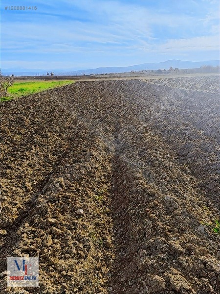 Kastamonu Merkez Arız Köyünde Satılık Arazi — fotoğraf 11