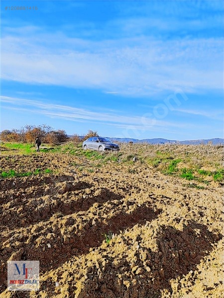 Kastamonu Merkez Arız Köyünde Satılık Arazi — fotoğraf 12