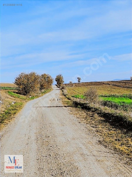 Kastamonu Merkez Arız Köyünde Satılık Arazi — fotoğraf 24