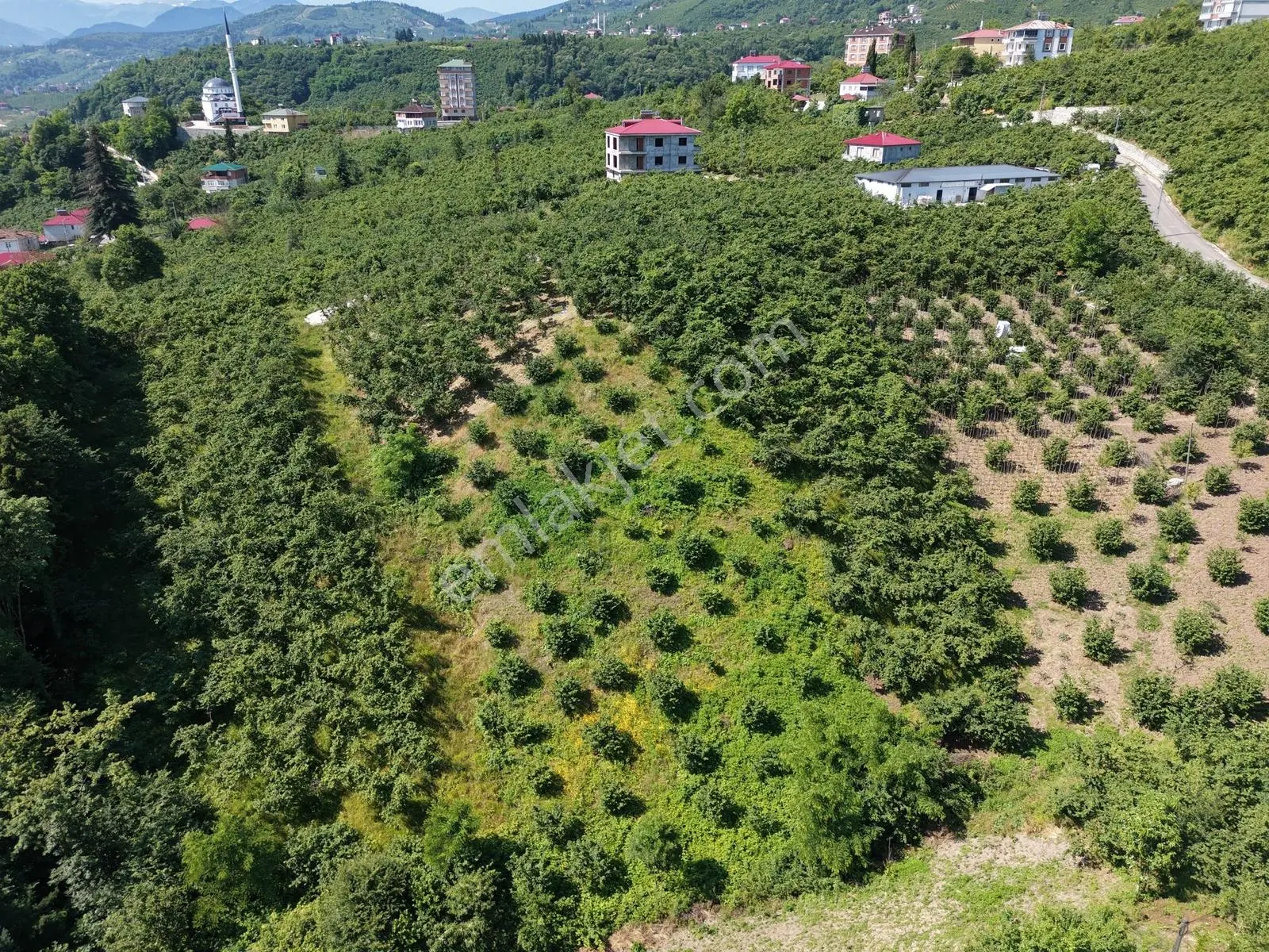 Sakin Huzurlu Bir Yaşam İçin İdeal