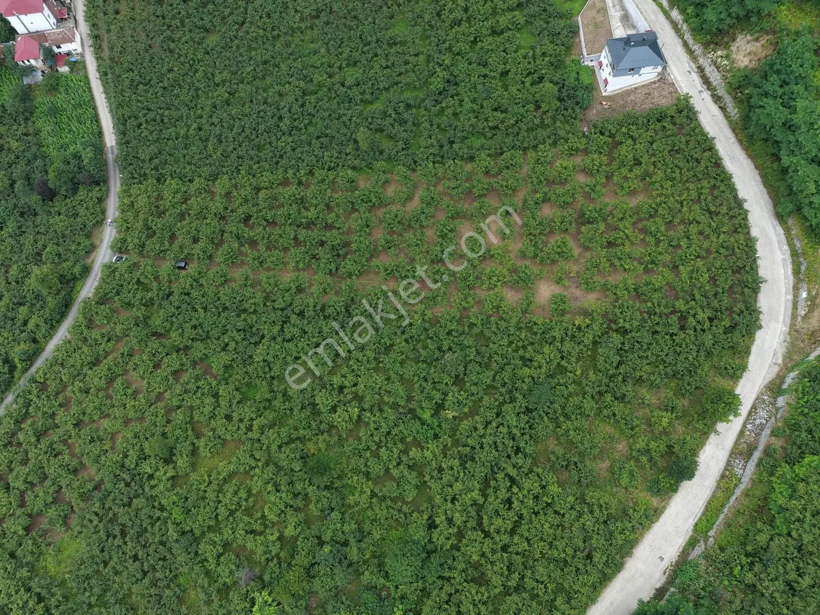 Trabzon Ortahisar Tos Mahallesinde Satılık 6.150 M² Yatırımlık — fotoğraf 5