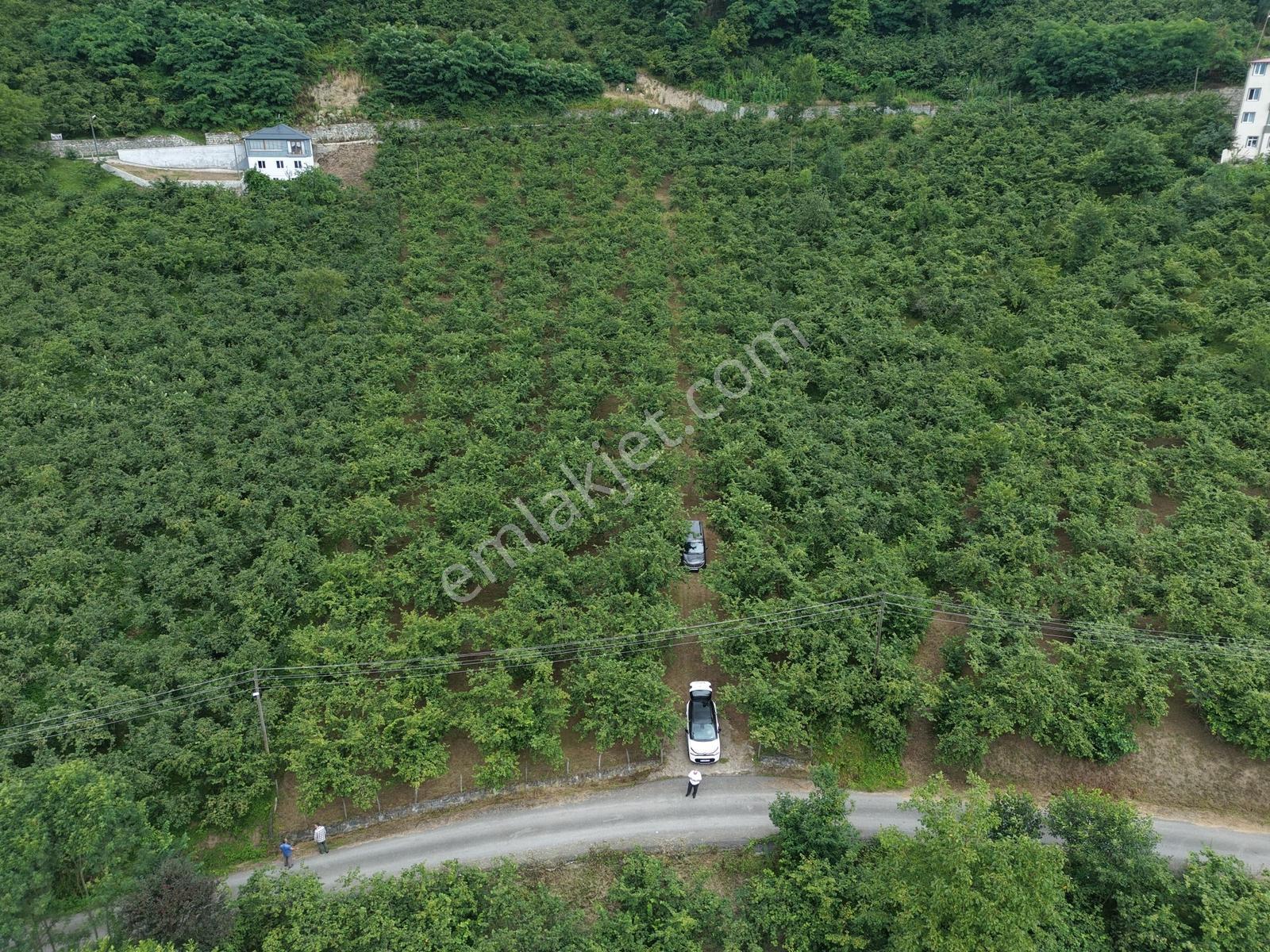 Trabzon Ortahisar Tos Mahallesinde Satılık 6.150 M² Yatırımlık — fotoğraf 6