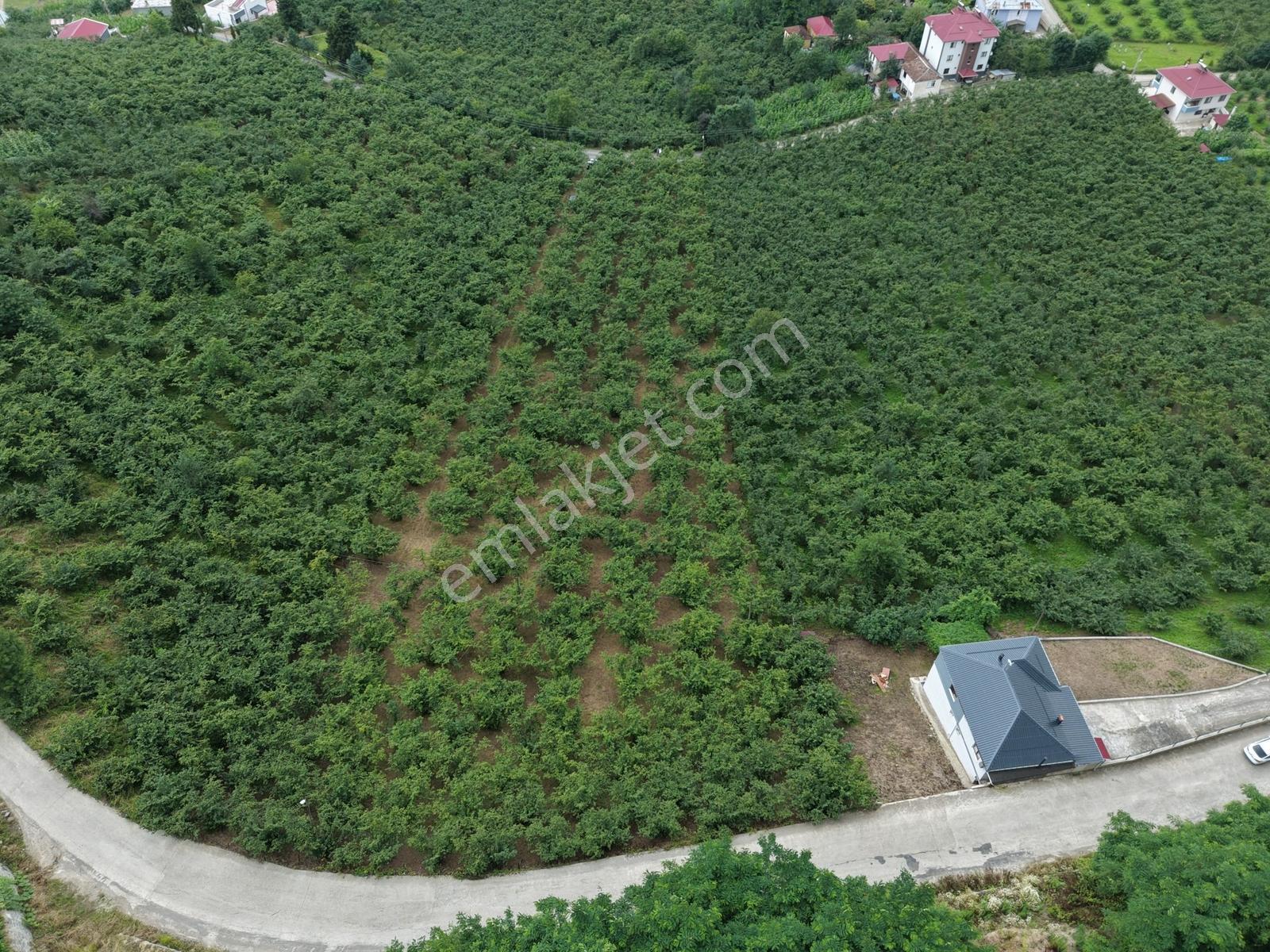 Trabzon Ortahisar Tos Mahallesinde Satılık 6.150 M² Yatırımlık — fotoğraf 7