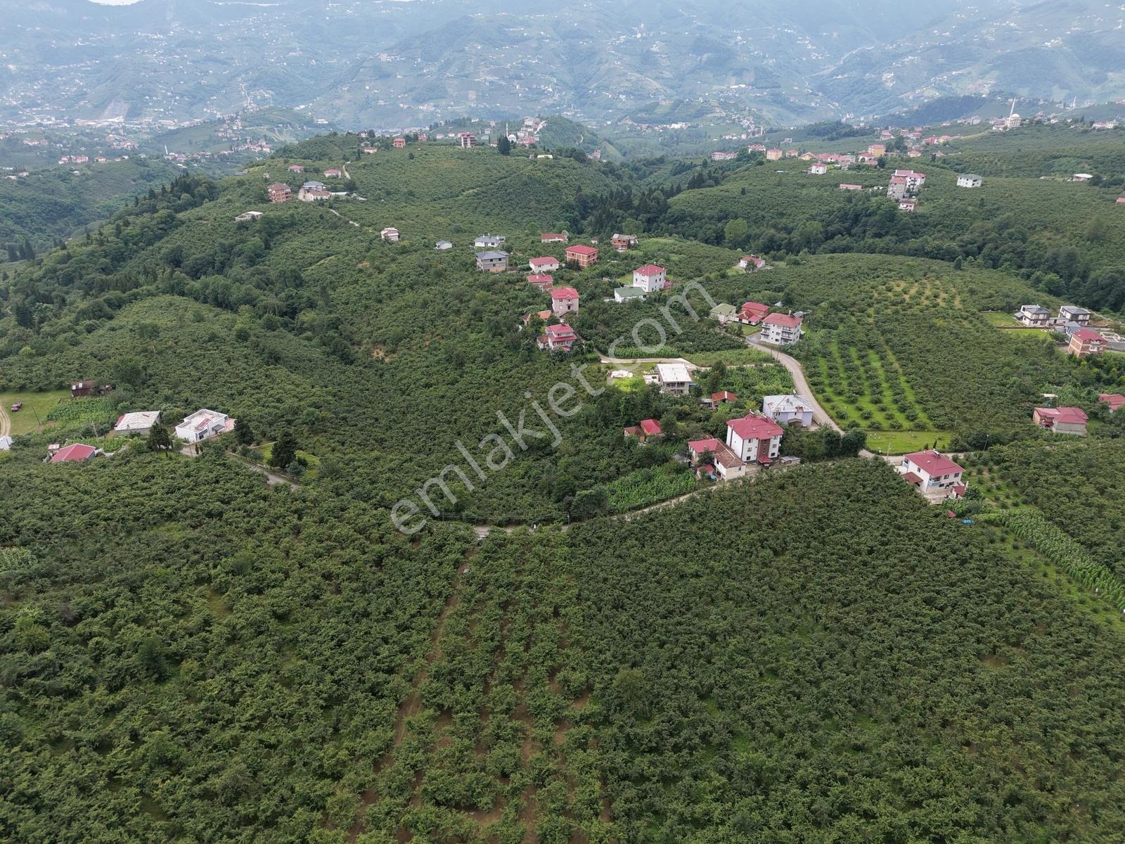 Trabzon Ortahisar Tos Mahallesinde Satılık 6.150 M² Yatırımlık — fotoğraf 8