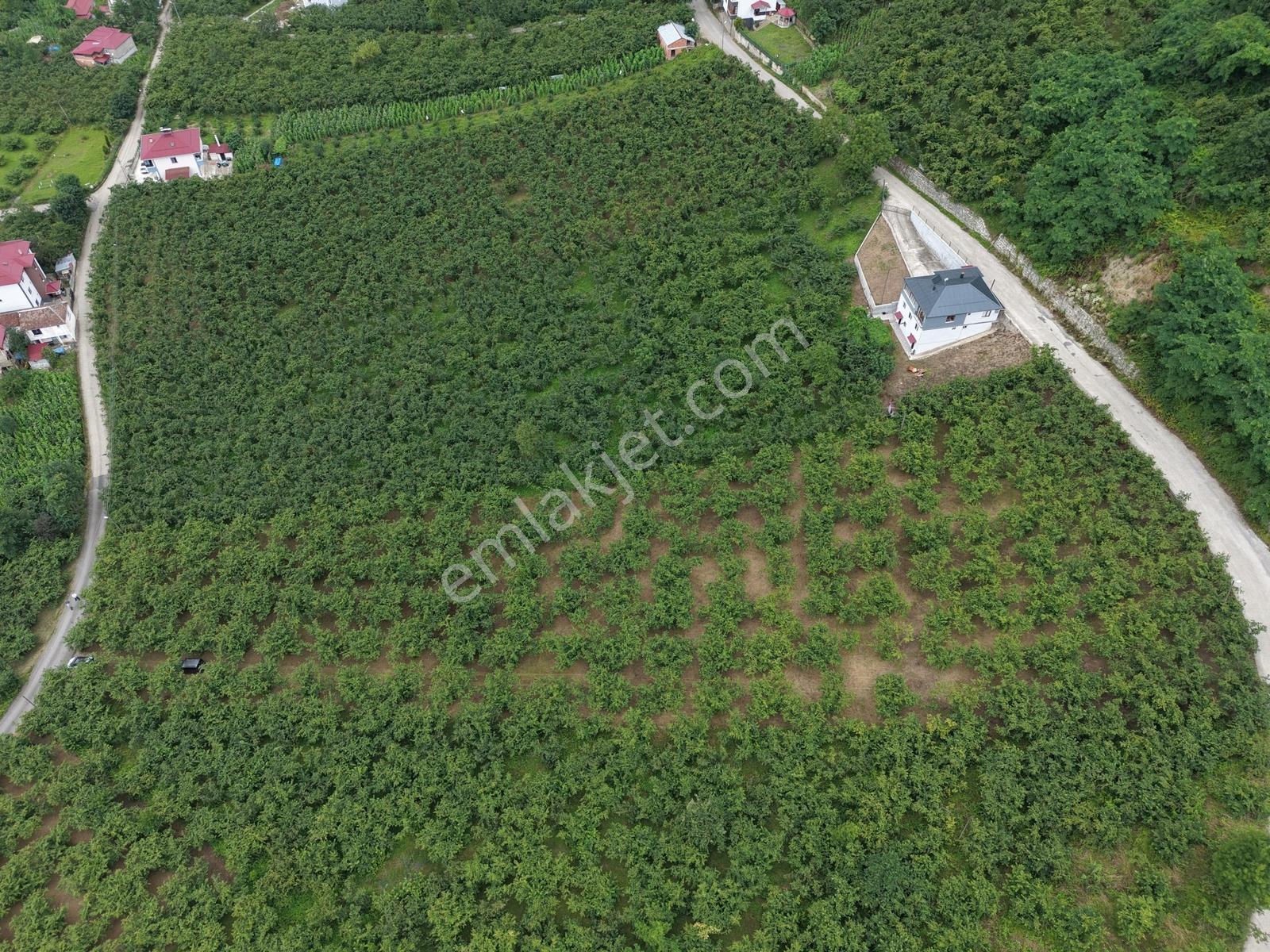 Trabzon Ortahisar Tos Mahallesinde Satılık 6.150 M² Yatırımlık — fotoğraf 9