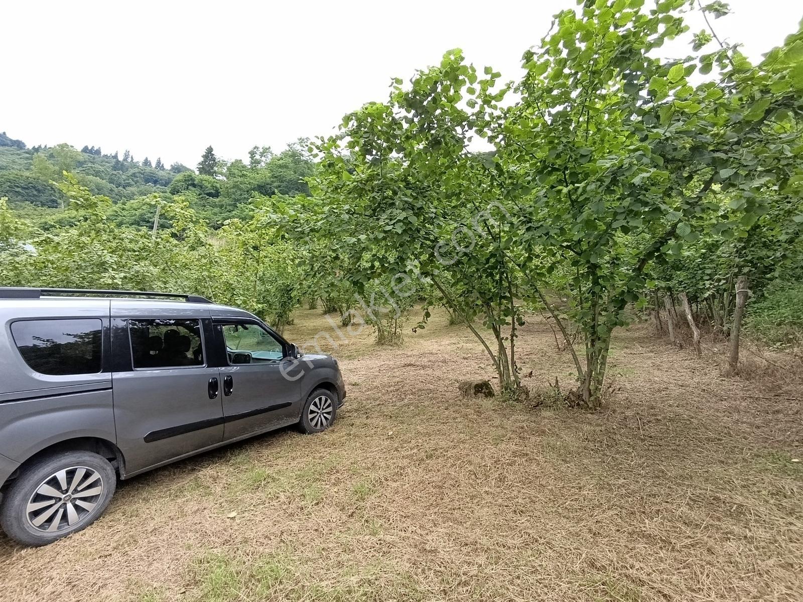 Trabzon Ortahisar Tos Mahallesinde Satılık 6.150 M² Yatırımlık — fotoğraf 11