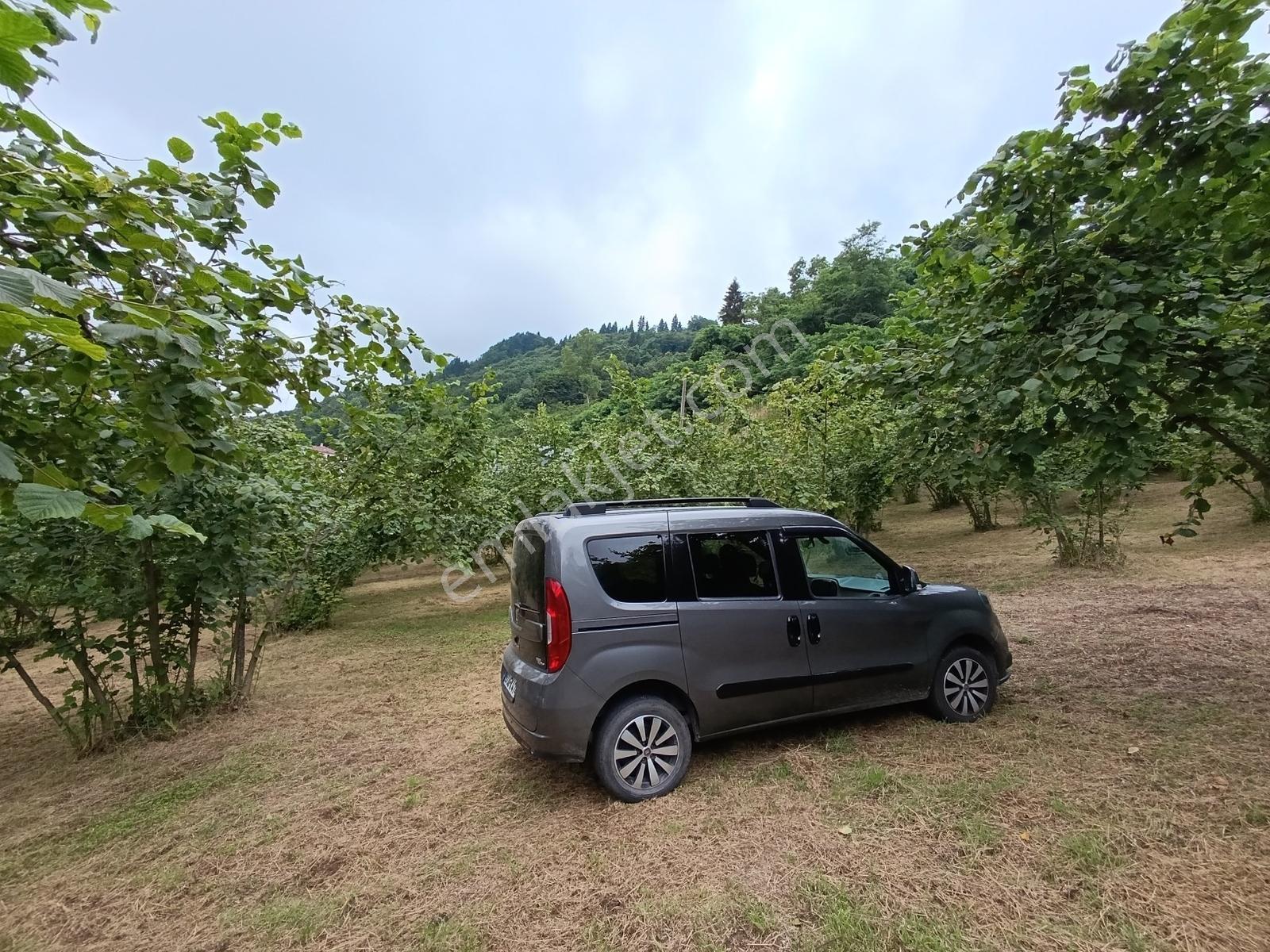 Trabzon Ortahisar Tos Mahallesinde Satılık 6.150 M² Yatırımlık — fotoğraf 13