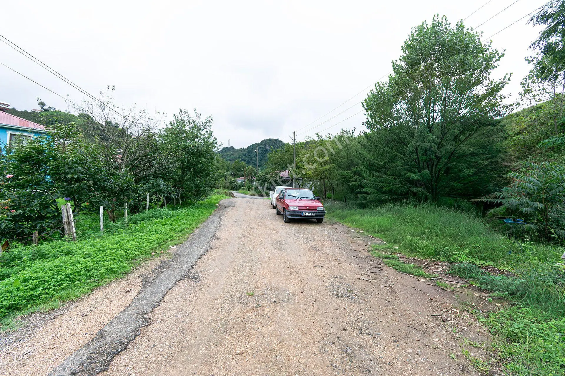 Ordu Kurtulmuş Mah. 500 M² Satılık Fındık Bahçesi Arazi Kadastral Yola Cepheli — fotoğraf 3