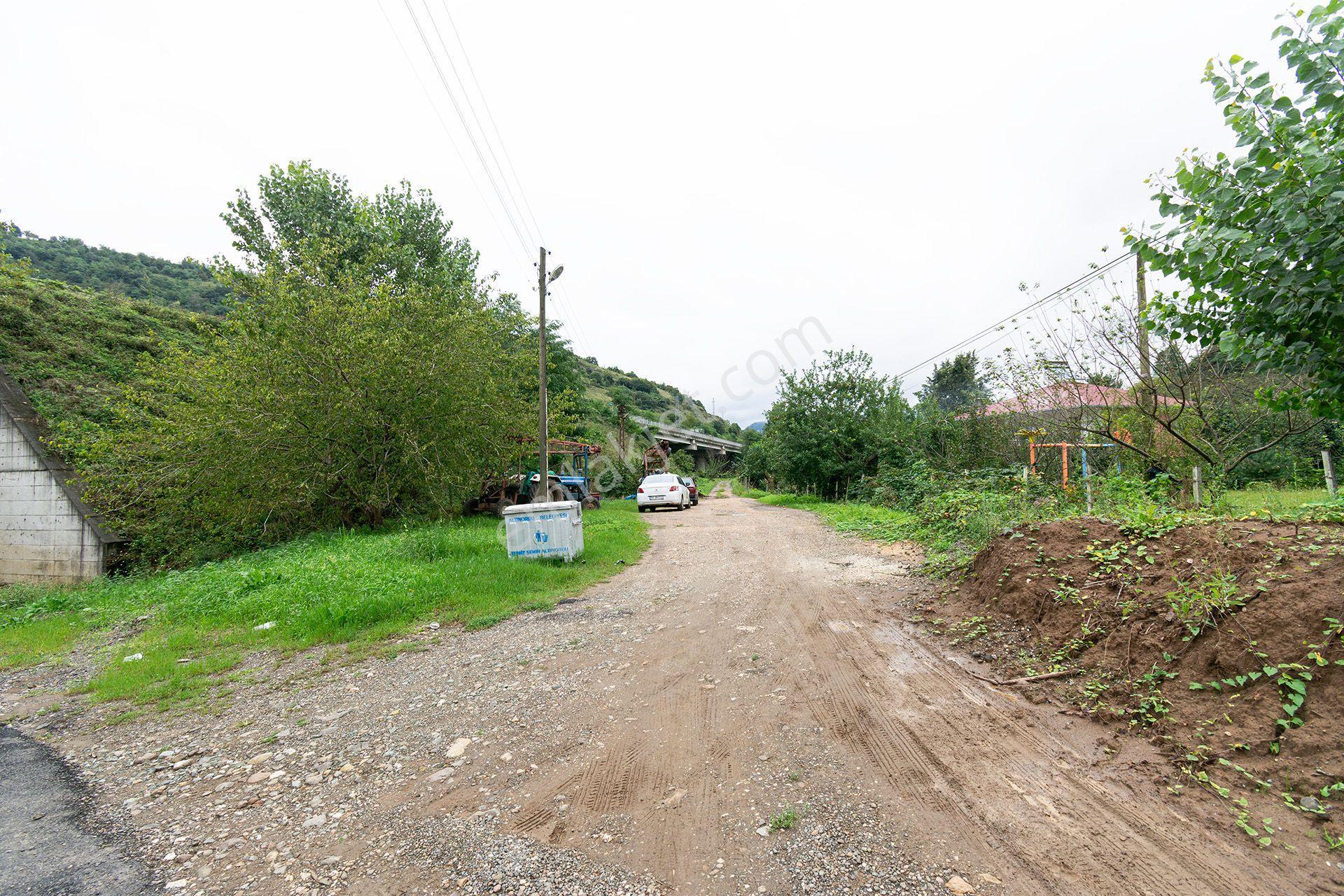 Ordu Kurtulmuş Mah. 500 M² Satılık Fındık Bahçesi Arazi Kadastral Yola Cepheli — fotoğraf 24