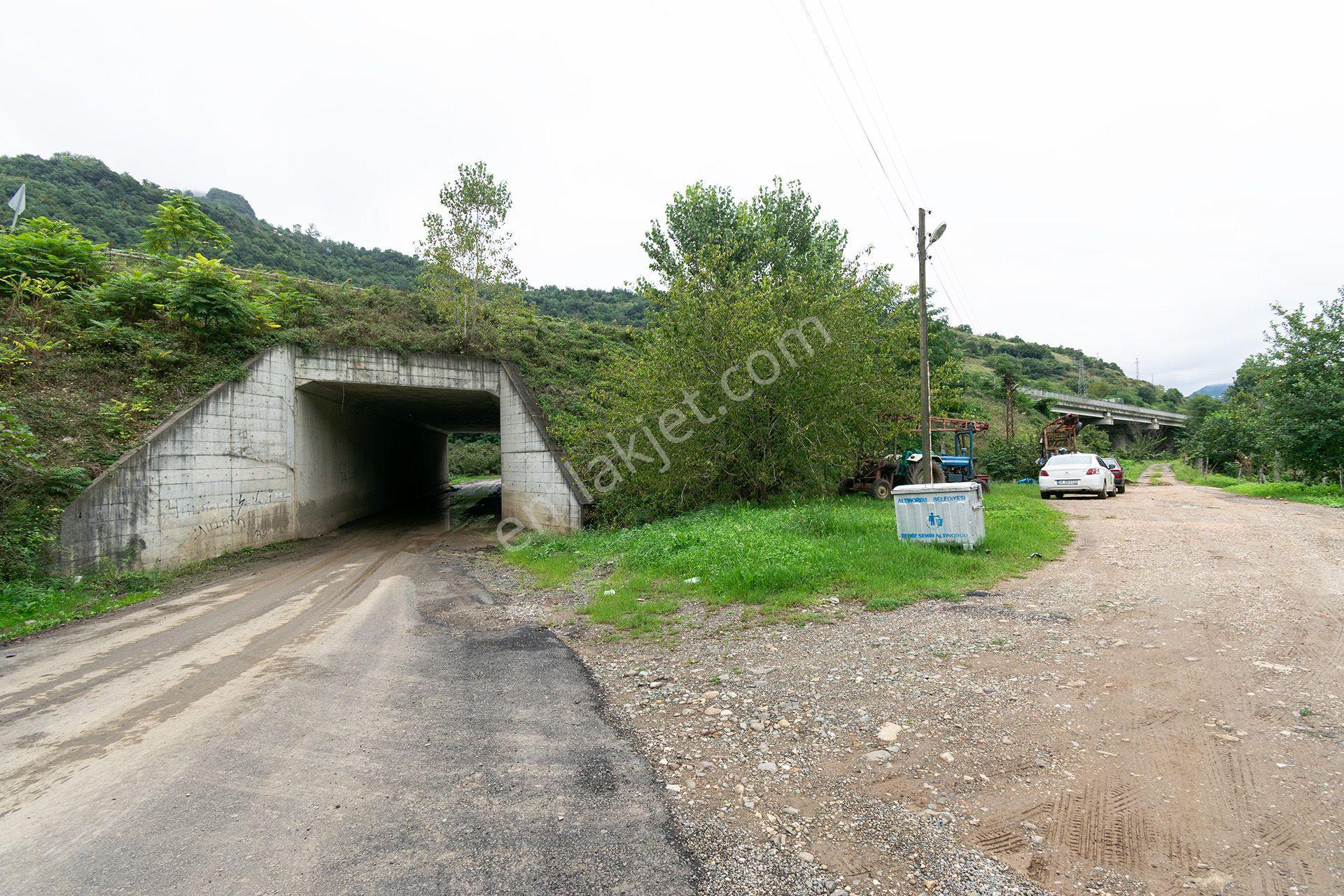 Ordu Kurtulmuş Mah. 500 M² Satılık Fındık Bahçesi Arazi Kadastral Yola Cepheli — fotoğraf 26