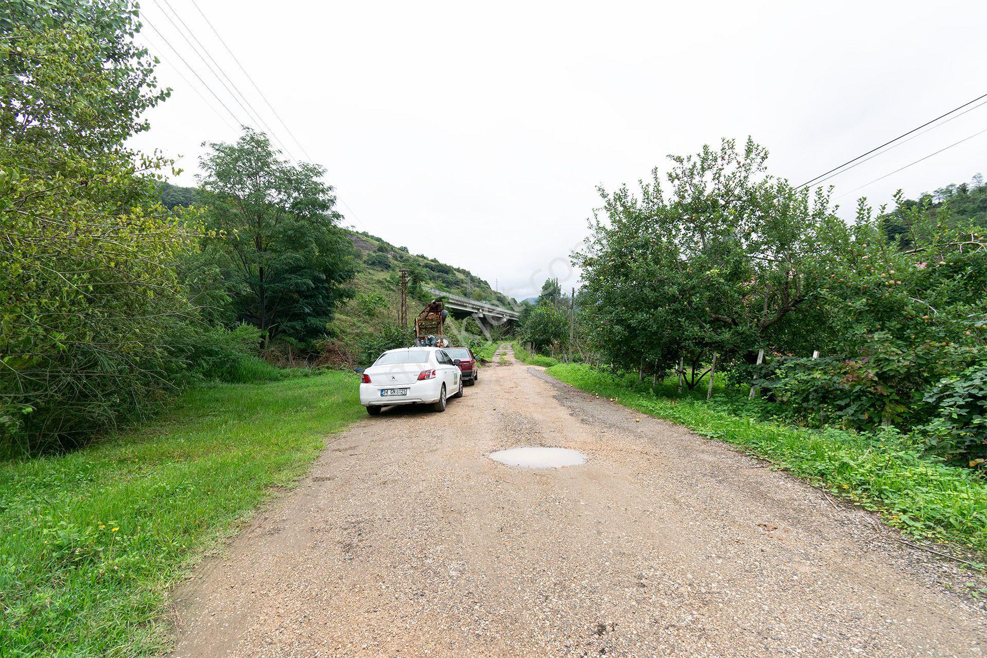 Ordu Kurtulmuş Mah. 500 M² Satılık Fındık Bahçesi Arazi Kadastral Yola Cepheli — fotoğraf 29
