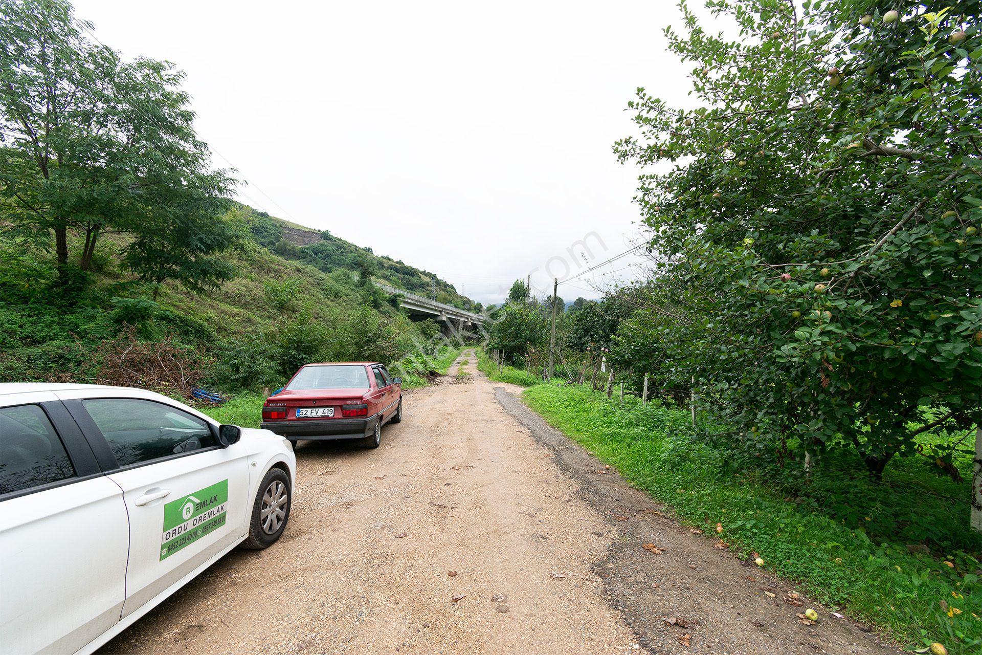 Ordu Kurtulmuş Mah. 500 M² Satılık Fındık Bahçesi Arazi Kadastral Yola Cepheli — fotoğraf 30