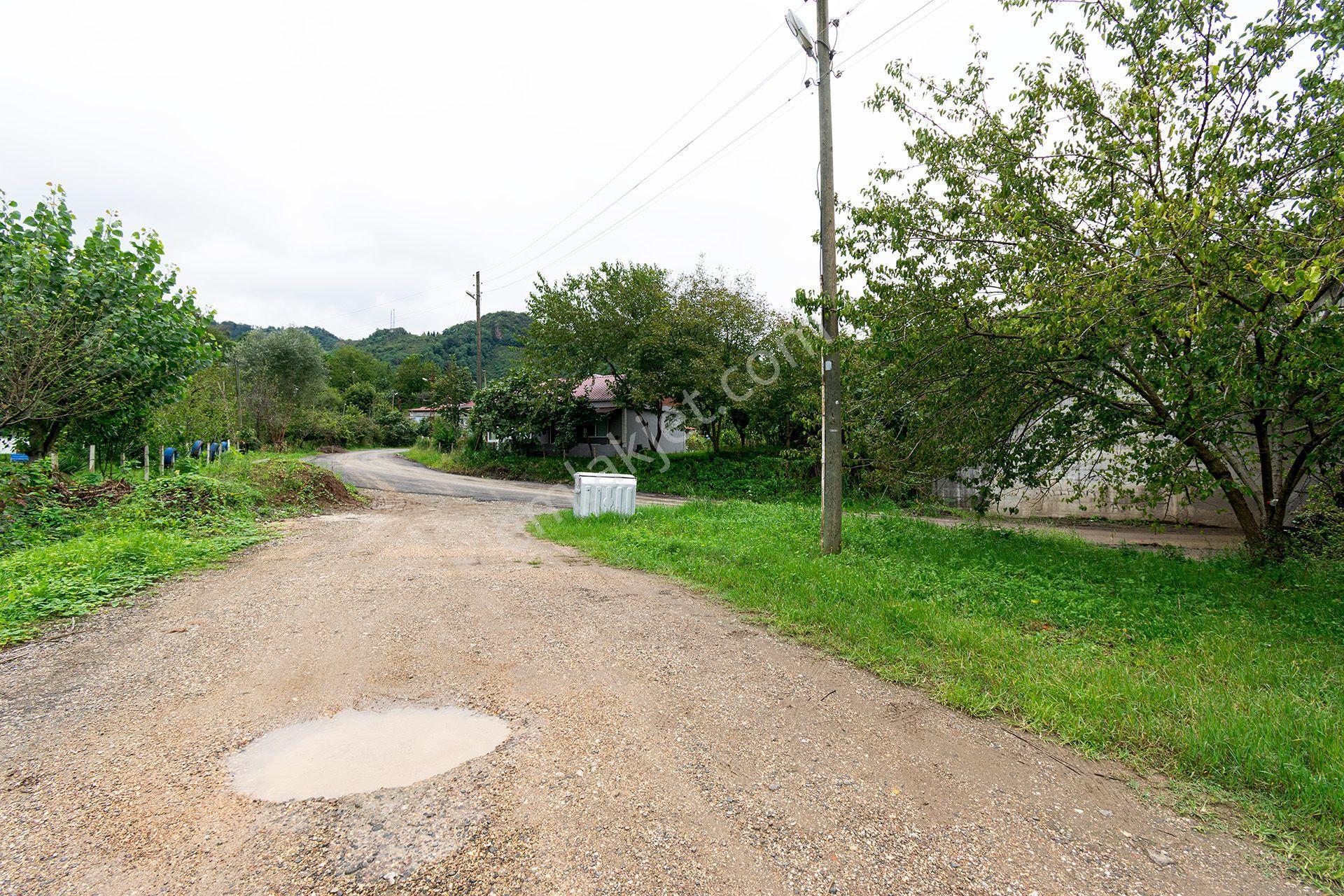 Ordu Kurtulmuş Mah. 500 M² Satılık Fındık Bahçesi Arazi Kadastral Yola Cepheli — fotoğraf 31