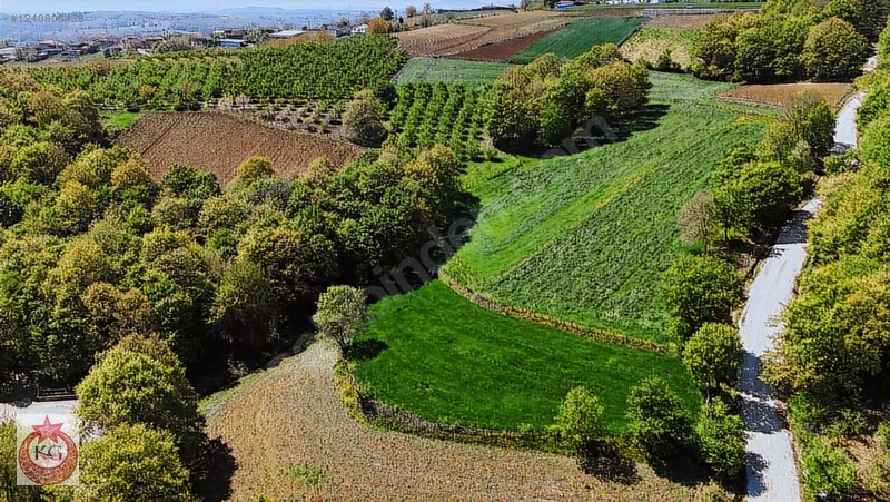 Adapazarı Büyükhataplı Mh. Satılık Doğa Harikası Arazi — fotoğraf 3