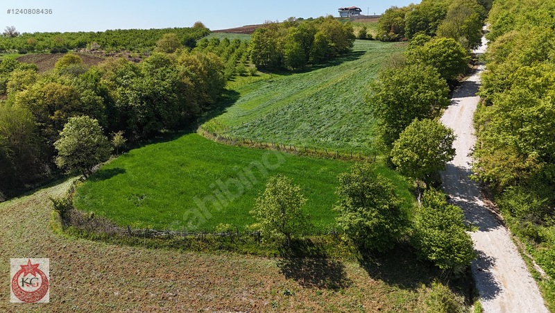 Adapazarı Büyükhataplı Mh. Satılık Doğa Harikası Arazi — fotoğraf 14